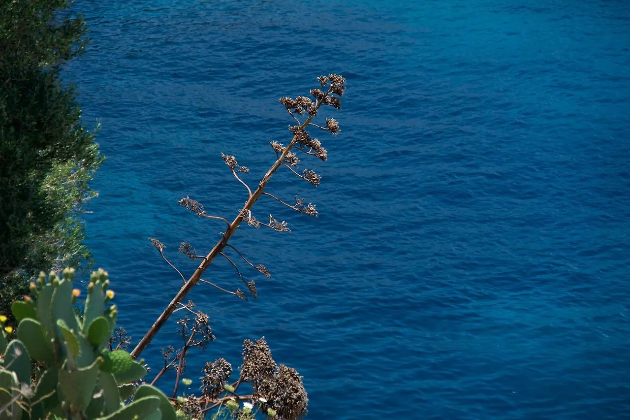 Villa Apoplous With Pool Asos